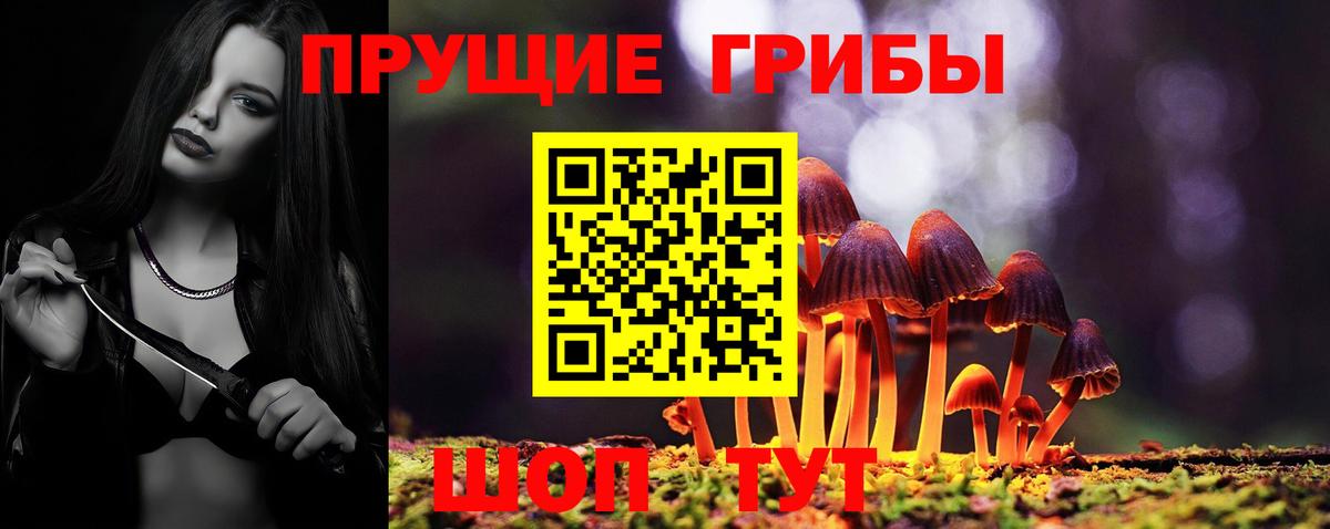 Галлюциногенные грибы мухоморы  Вход с VPN  купить наркоту  Галлюциногенные грибы Cubensis  Орёл 